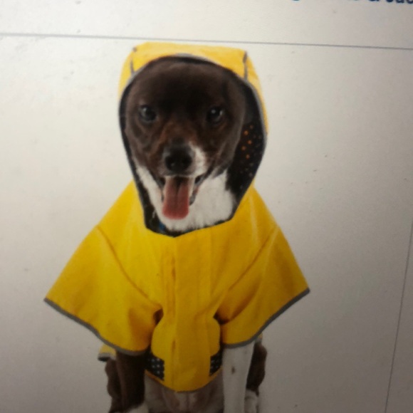 Dog reversible raincoat size large. - Picture 1 of 5